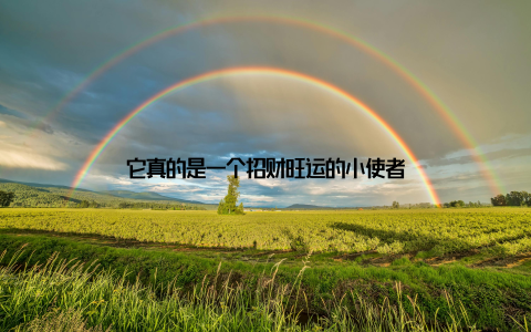 它真的是一个招财旺运的小使者