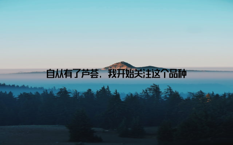 自从有了芦荟, 我开始关注这个品种