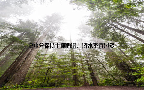 2水分保持土壤微湿, 浇水不宜过多