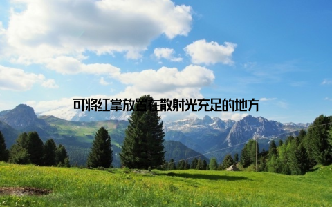 可将红掌放置在散射光充足的地方