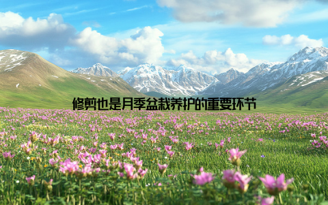 修剪也是月季盆栽养护的重要环节