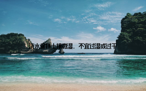 浇水保持土壤微湿, 不宜过湿或过干