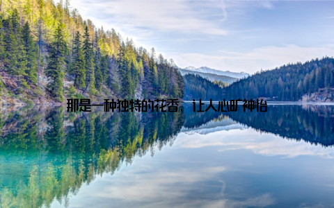 那是一种独特的花香, 让人心旷神怡