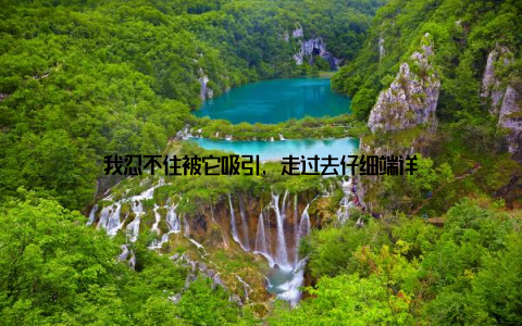 我忍不住被它吸引, 走过去仔细端详