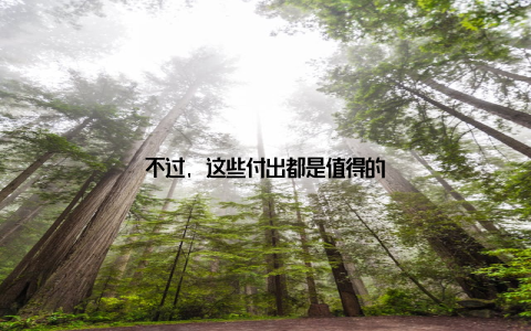 不过, 这些付出都是值得的