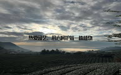 热爱园艺, 用心呵护每一株植物