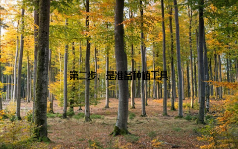 第二步, 是准备种植工具
