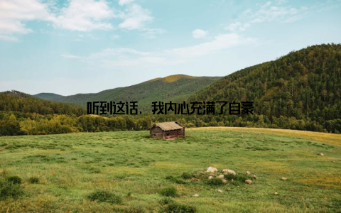 听到这话, 我内心充满了自豪