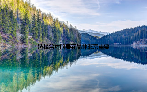 选择合适的姜花品种非常重要