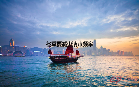 冬季要减少浇水频率