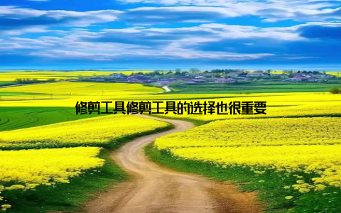 修剪工具修剪工具的选择也很重要