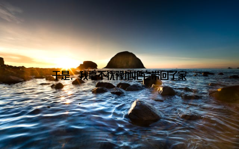 于是, 我毫不犹豫地把它带回了家