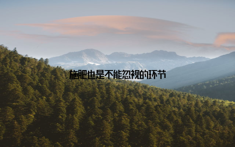 施肥也是不能忽视的环节