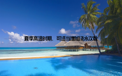 夏季高温时期, 可适当增加浇水次数