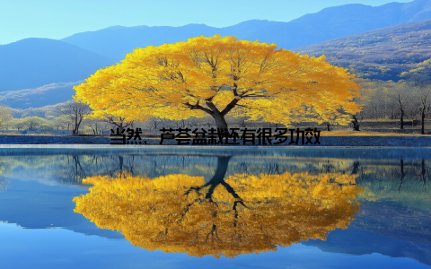 当然, 芦荟盆栽还有很多功效