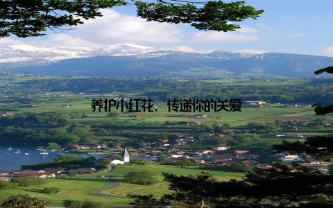 养护小红花, 传递你的关爱