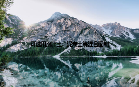 可选用腐叶土、泥炭土等混合配制