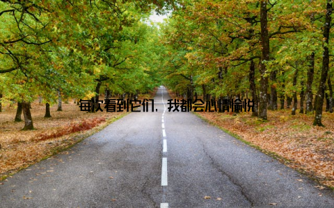 每次看到它们, 我都会心情愉悦