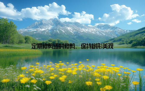 定期修剪适时修剪, 保持树形美观