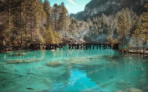 在这个过程中, 我体会到了许多乐趣
