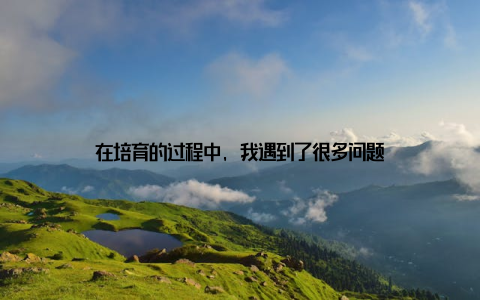 在培育的过程中, 我遇到了很多问题