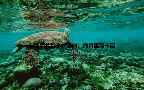 波斯菊盆栽不仅美丽, 而且寓意丰富