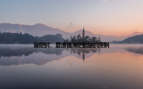 施肥时, 要遵循薄肥勤施的原则