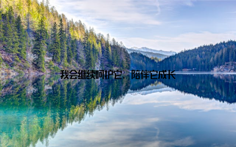我会继续呵护它, 陪伴它成长