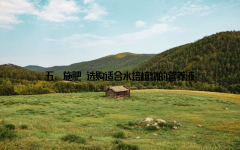 五、施肥 选购适合水培植物的营养液