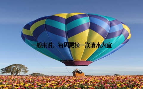 一般来说, 每周更换一次清水为宜