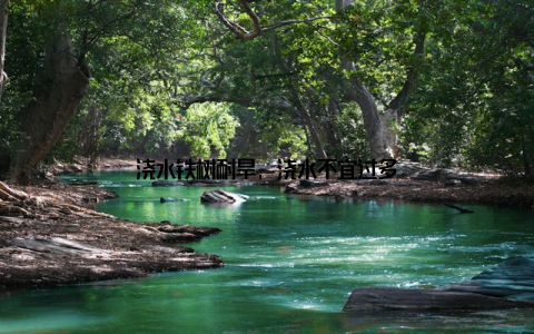 浇水铁树耐旱, 浇水不宜过多