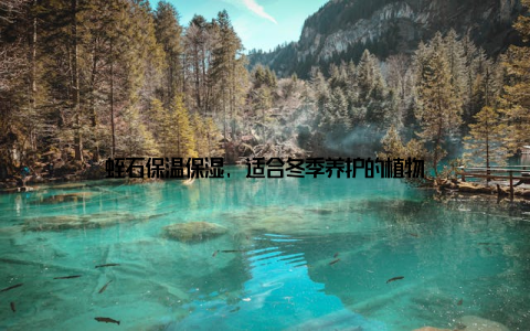 蛭石保温保湿, 适合冬季养护的植物