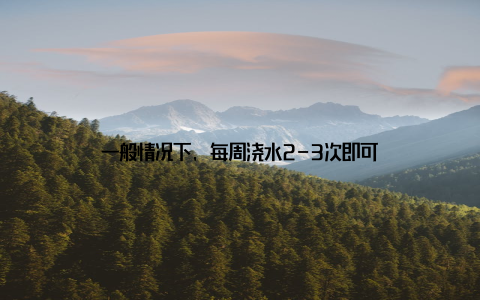 一般情况下, 每周浇水2-3次即可