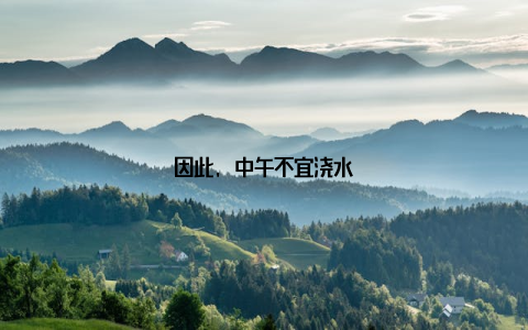 因此, 中午不宜浇水
