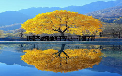 我毫不犹豫地买下了它, 带回了家