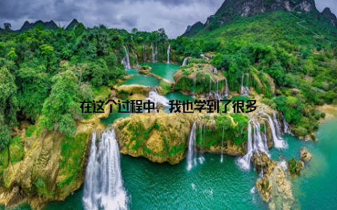 在这个过程中, 我也学到了很多