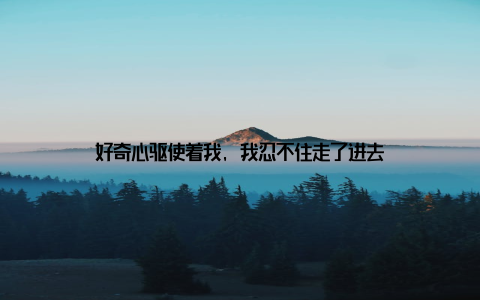 好奇心驱使着我, 我忍不住走了进去