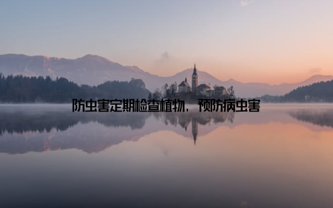 防虫害定期检查植物, 预防病虫害