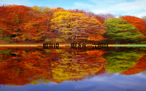 一般来说, 一周浇水一次即可