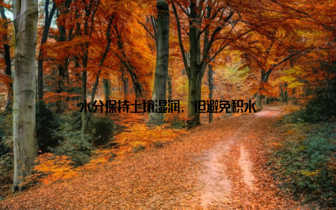 水分保持土壤湿润, 但避免积水