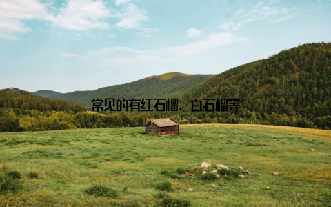常见的有红石榴、白石榴等
