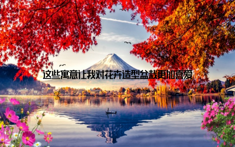 这些寓意让我对花卉造型盆栽更加喜爱