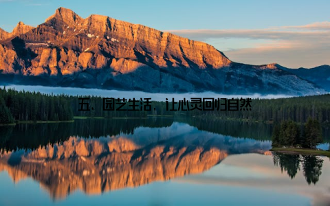 五、园艺生活, 让心灵回归自然