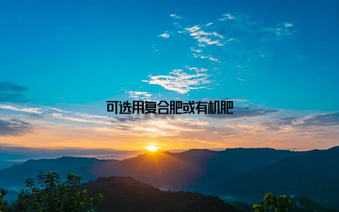 可选用复合肥或有机肥