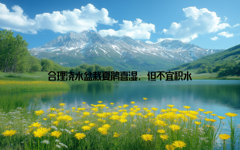 合理浇水盆栽夏鹃喜湿, 但不宜积水