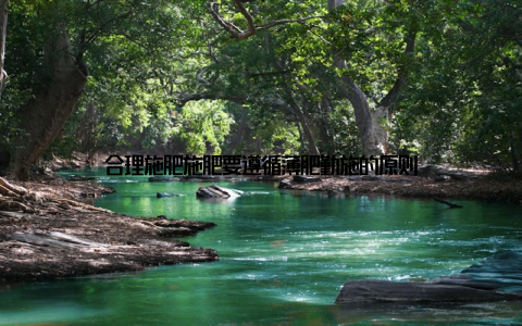 合理施肥施肥要遵循薄肥勤施的原则