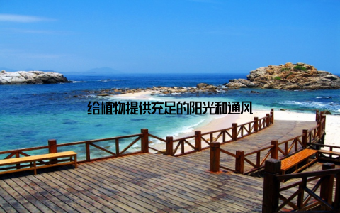 给植物提供充足的阳光和通风