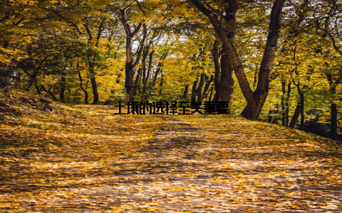 土壤的选择至关重要