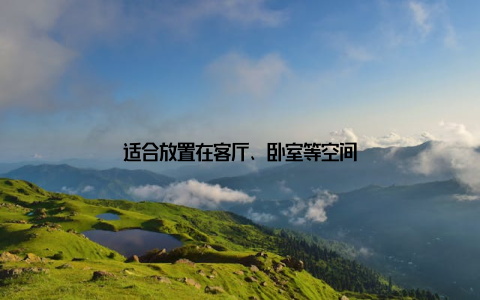 适合放置在客厅、卧室等空间