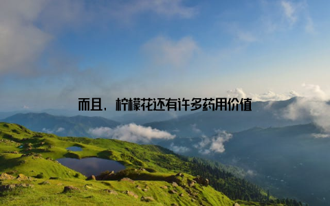 而且, 柠檬花还有许多药用价值